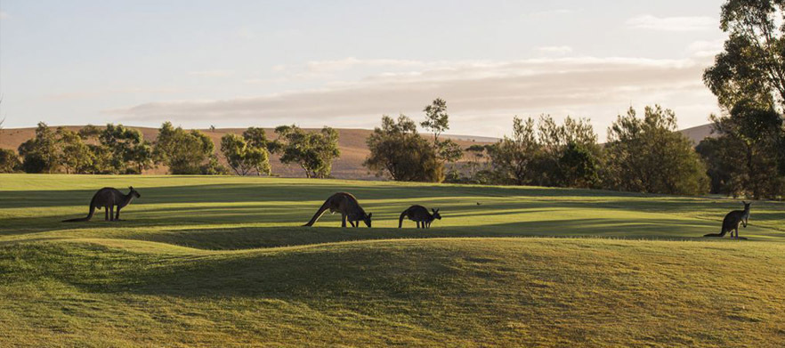 Overnight Stay and Play Package for 2 at the Beautiful <em>Wirrina Golf Resort</em> - part of the VR Hotels Group.  Includes luxury resort room accommodation and all your golf!