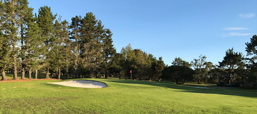 18 Holes for Two with a Cart at Boomerang Golf Course!