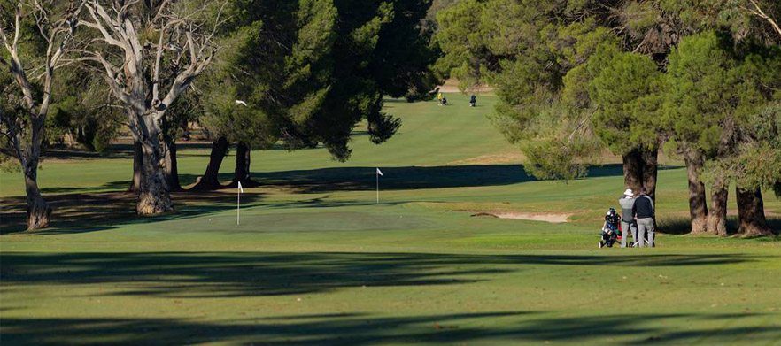 Play one of South Australia's premier golf courses! 18 Holes for 2 at the <em>Stunning Tanunda Pines Golf Club.</em> Includes a shared motorised cart.
