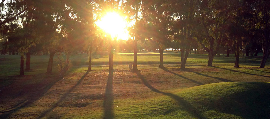 18 Holes for TWO in a motorised cart at <em> Maylands Peninsula Public Golf Course! </em> Lunch & a Drink each after your game.
