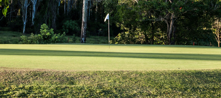 <em>Meadowbrook Golf Course!</em> 18 Holes For Two in a Motorised Cart and Range Balls.</em>