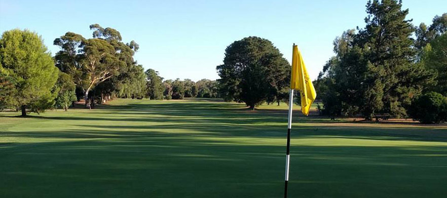 Two Nights for Eight at The Country Inn Motel. Includes Unlimited Golf at Cobram Barooga Golf Club, Breakfasts, Drinks & Meal Vouchers