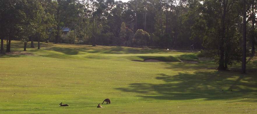 18 holes for TWO at <em>Woodford Golf Club.</em> 