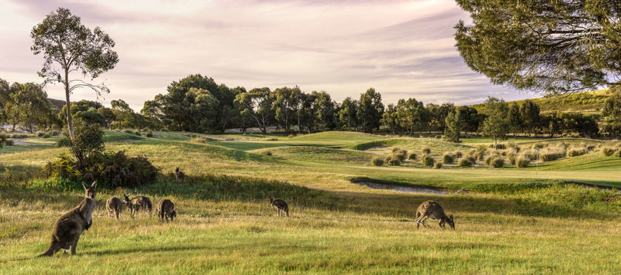 <em>Play one of South Australia's Top Courses!</em> 18 Holes for Two at the Stunning <em>Mount Compass Golf Course. </em>Includes a Shared Motorised Cart & Drinks. 