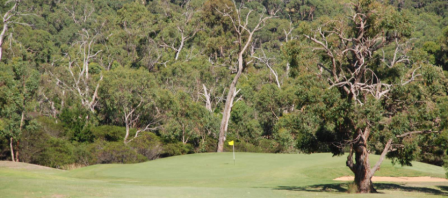 <em>NEW YEAR MEMBERSHIP SPECIAL! at Devilbend Golf Club!</em> Enjoy 7 day playing rights at this beautiful course on the Mornington Peninsula! 