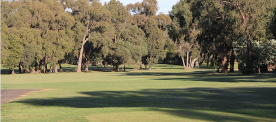 Choose from two of Melbourne's Hidden Gems! Play either Churchill - Waverley Golf Course. With a drink each after your game. 