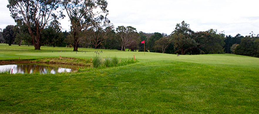 18 holes for Two in a Motorised Cart at <em>Bacchus Marsh Golf Club.</em> 