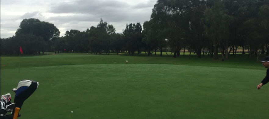 18 Holes for TWO in a motorised cart at <em> Maylands Peninsula Public Golf Course! </em> Includes 6 Golf balls, Lunch & a Drink each after your game.