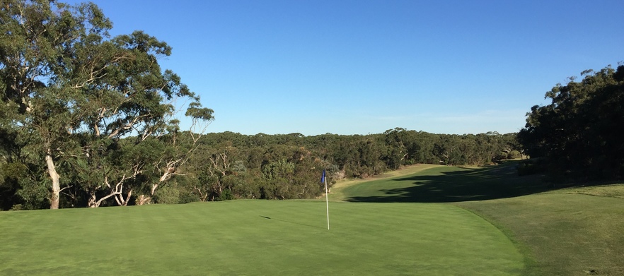 Download 18 Holes For Two with a Cart and Beer Each at Newcastle ...