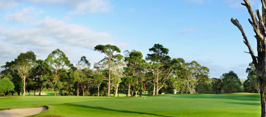 18 holes for four with shared motorised carts at the beautiful <em>Windsor Country Golf Club!</em> Plus enjoy a refreshing beer each afterwards. 