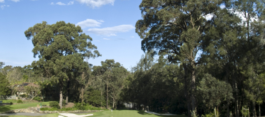 16 Month 7 Day Intermediates Golf Membership at Bayview Golf Club.