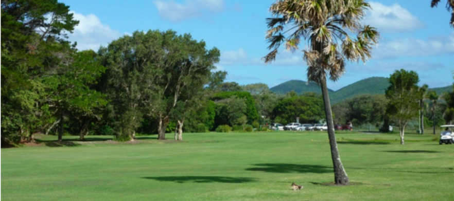 18 Holes for 2 at <em> Forster Golf Course! </em> Includes a Motorised Cart and a Drink Each.