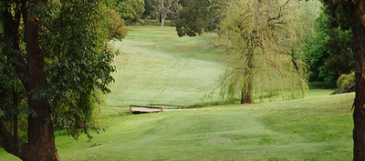 1783-wattlepark9.jpg