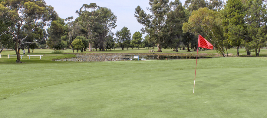 Download 18 Holes for 2 with a Shared Cart & Beers at Robinvale ...