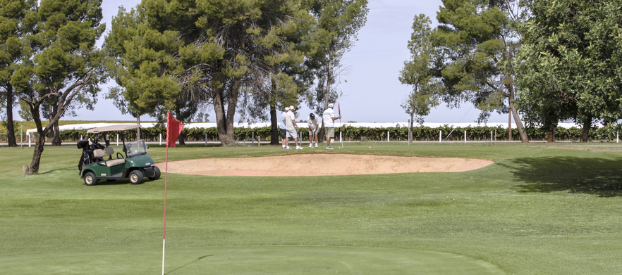 Download 18 Holes for 2 with a Shared Cart & Beers at Robinvale ...