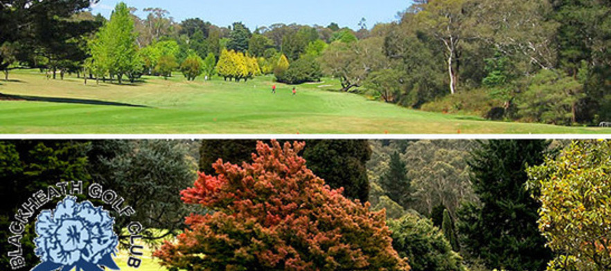 Play the Highest and Most Scenic Course in the Blue Mountains! At <em>Blackheath Golf Club:</em>  18 Holes for 2, with motorised golf cart. 