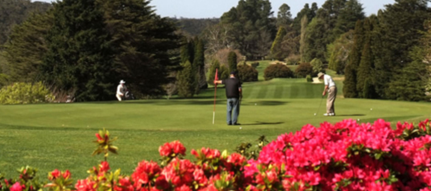 Play the Highest and Most Scenic Course in the Blue Mountains! At <em>Blackheath Golf Club:</em>  18 Holes for 2, with motorised golf cart. 