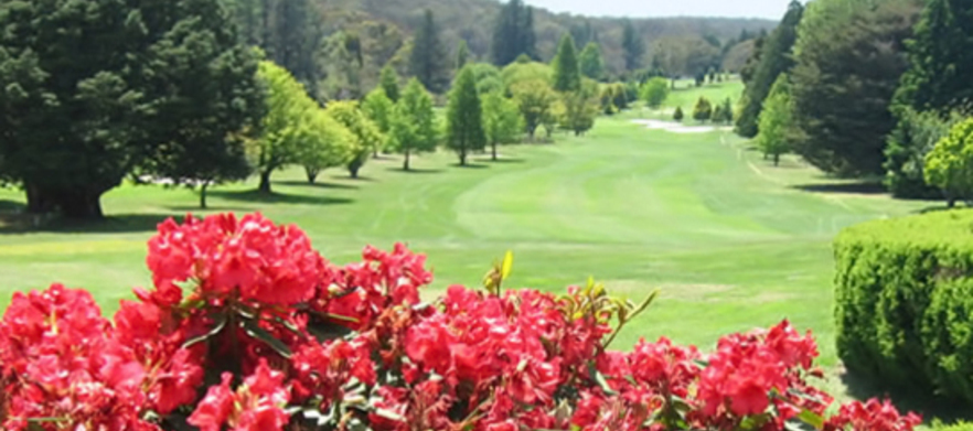 Play the Highest and Most Scenic Course in the Blue Mountains! At <em>Blackheath Golf Club:</em>  18 Holes for 2, with motorised golf cart. 
