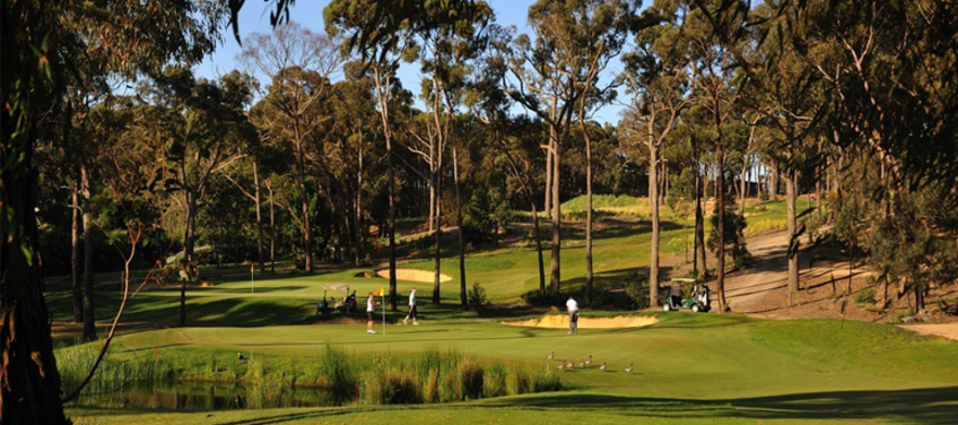 18 Holes For Two in a Motorised Cart at the Tony Cashmore Designed Golf Course, <em>Novotel Forest Resort Creswick!</em> Bookings Available 7 days a Week. 