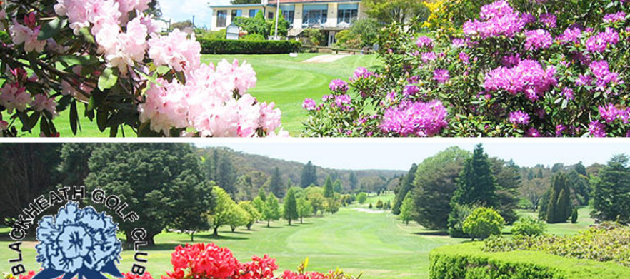 Play the Highest and Most Scenic Course in the Blue Mountains! At <em>Blackheath Golf Club:</em>  18 Holes for 2, with motorised golf cart. 
