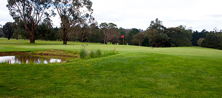Download 18 Holes of Golf For 2 with a Beer or Wine Each at Bacchus ...