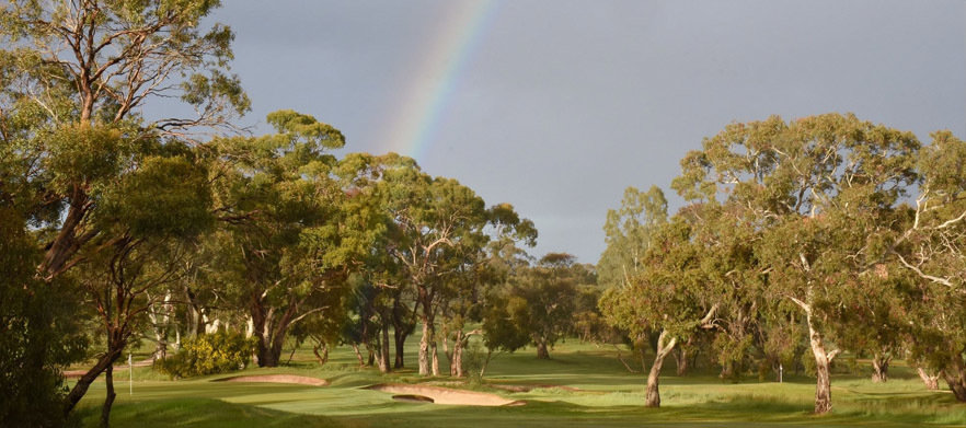Play one of South Australia's premier golf courses! 18 Holes for 2 at the <em>Stunning Tanunda Pines Golf Club.</em>
