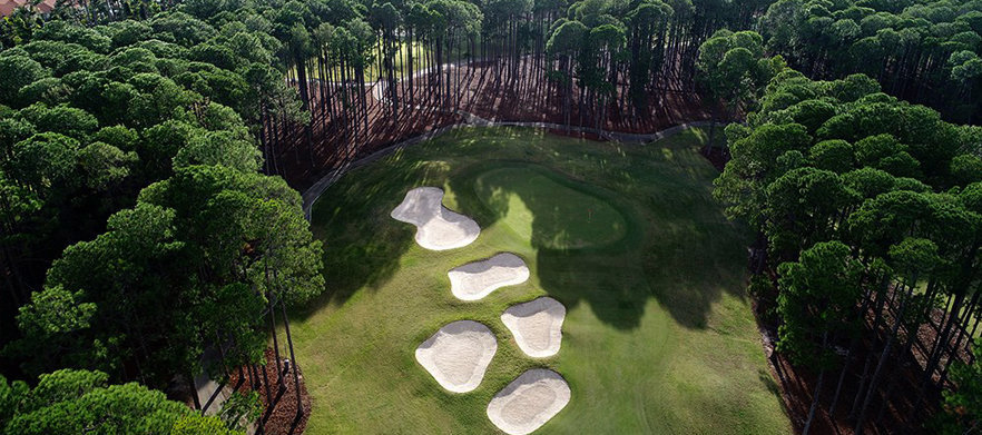 The Pines - Sanctuary Cove