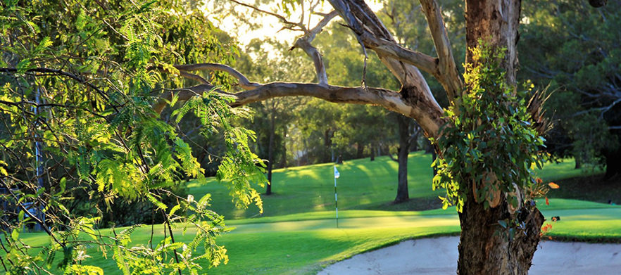 Cabramatta Golf Classic - Friday 5th February 2021!