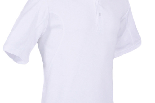 Ebay_IMG_4721__2__Brand_2000_high.jpg