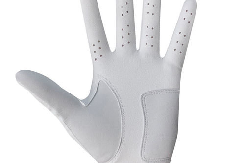 Rife RX2 All Weather Golf Glove - Image 2