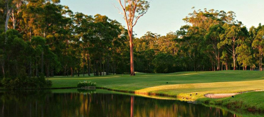 <em>Discover one NSW's Hidden Gems!</em> 18 Holes for Four at the Beautiful <em>Tallwoods Golf Course.</em> Includes shared motorised carts & drinks.