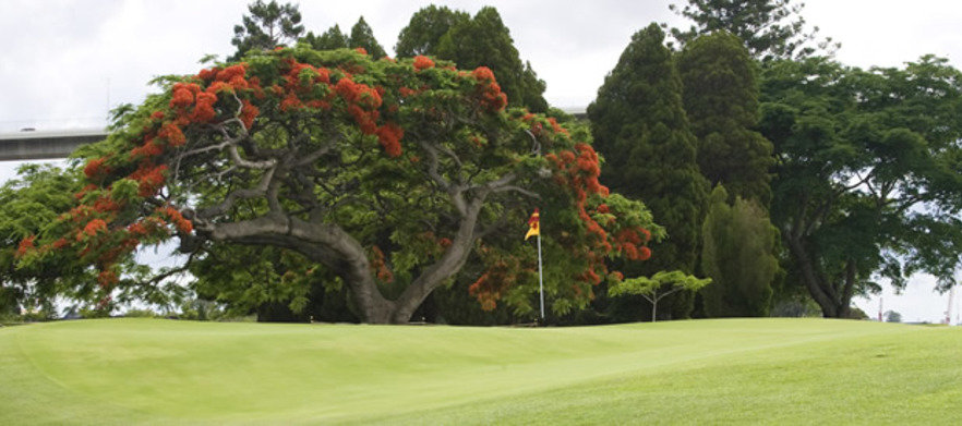 PGA Championship Golf Experience 