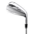 Honma Silver TW-U III Steel Stiff Right Hand Utility Iron - Image 1