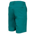 Stromberg Creek Shorts - Image 2
