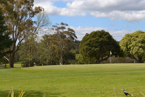 deal_4968-6.jpg