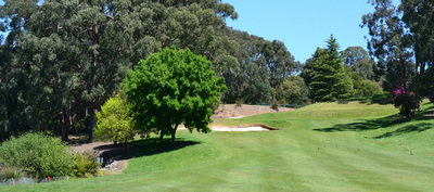 deal_4968-4.jpg