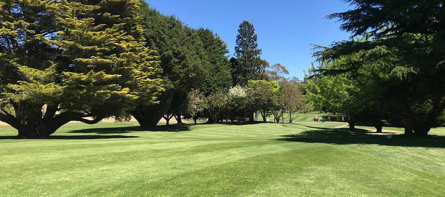 18 Holes For Four in Shared Motorised Carts at Blackheath GC