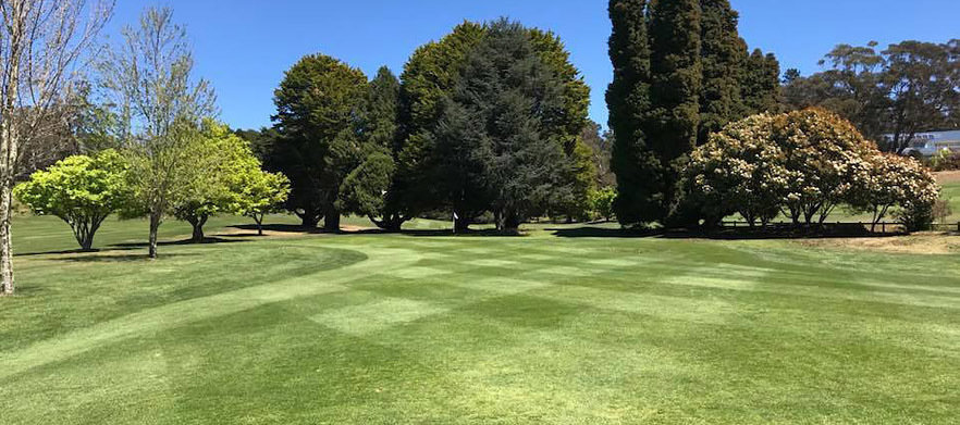 18 Holes For Four in Shared Motorised Carts at Blackheath GC