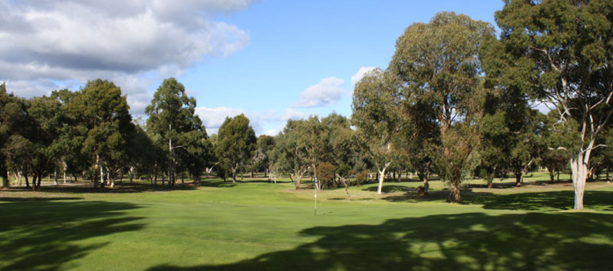 18 Holes For Two at the stunning  <em>Hillview Golf Course!</em> Includes a shared motorised cart & a refreshing drink each afterwards. 