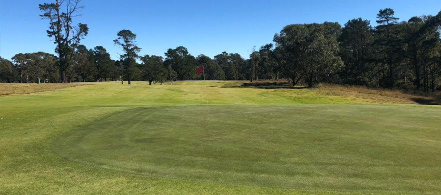18 holes for Two at <em>Wallacia Golf Club.</em> Includes a motorised cart & drinks each! 