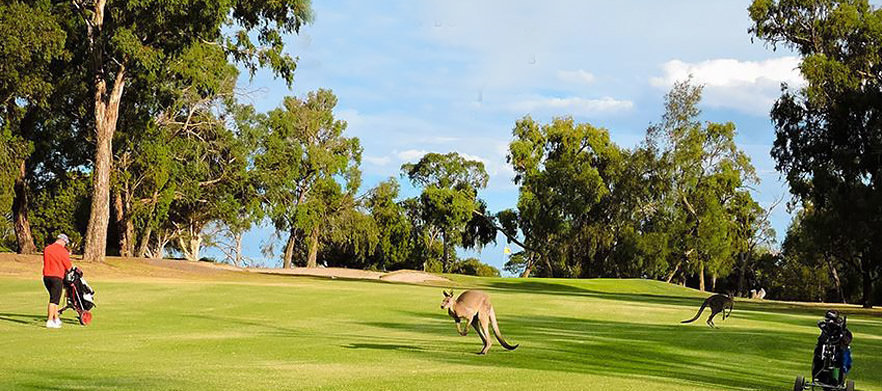 Choose from two of Melbourne's Hidden Gems! Play either Churchill - Waverley Golf Course and a drink each