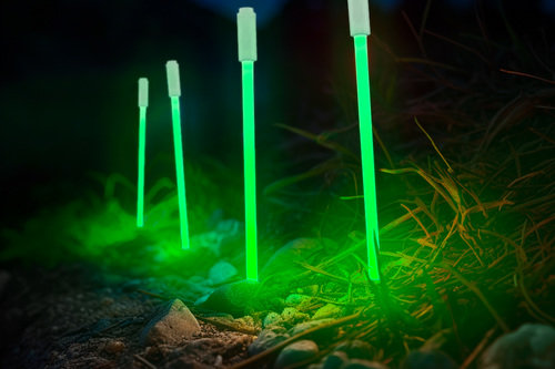 MARKER_STAKES_-_GREEN.jpg