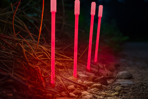 MARKER_STAKES_-_RED.jpg