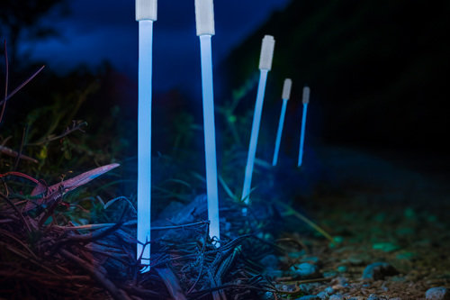 MARKER_STAKES_-_BLUE.jpg