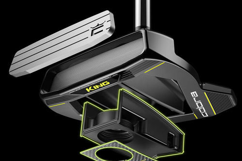 Cobra Golf King Vintage Stingray-20 Golf Putter - Image 3