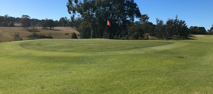 18 holes for Four at <em>Wallacia Golf Club.</em> Includes  motorised carts & drinks each! 