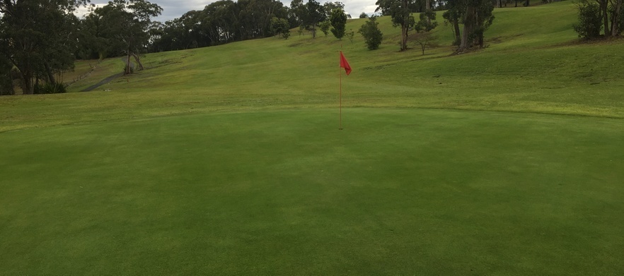Play 18 holes at <em>Mangrove Mountain Golf Club.</em> Green fees for 2 with a cart and drinks  