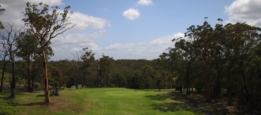 Play 18 holes at <em>Mangrove Mountain Golf Club.</em> Green fees for 4 with 2 carts and drinks  