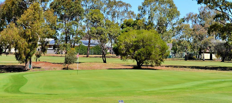 18 holes for FOUR in Motorised Carts at <em>Bacchus Marsh Golf Club.</em> 