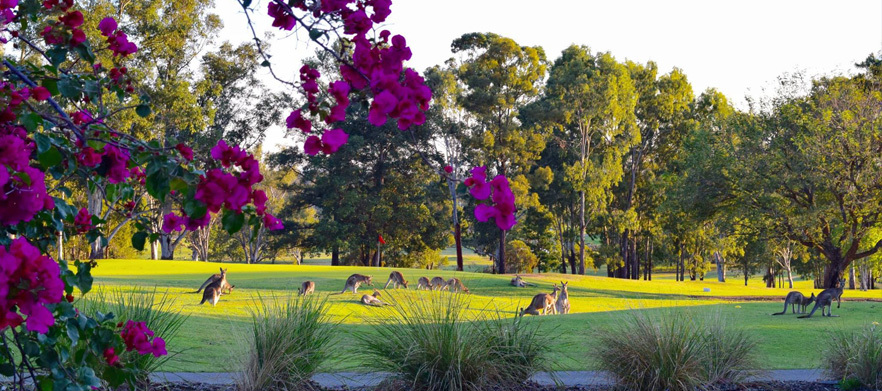 18 Holes For Four at the newly refurbished <em>Ipswich City Golf Club </em>located at<em>Ipswich Sports Club!</em> 18 Holes For Four in Two Motorised Carts.  <em>